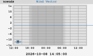 Wind Vector